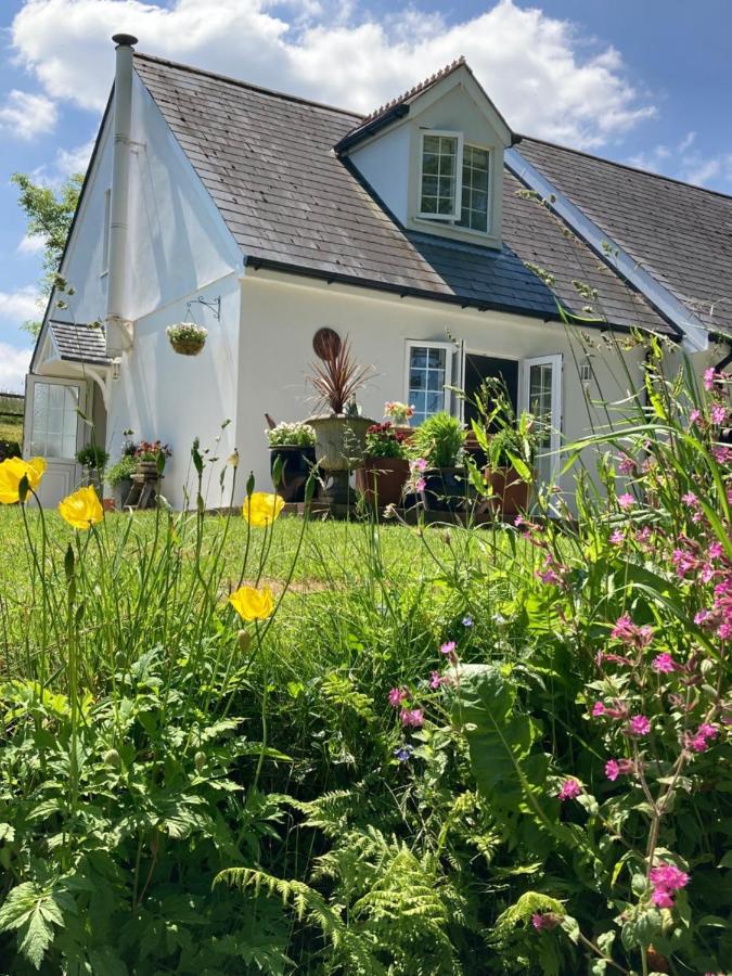 Cargibbitt Annexe Villa Liskeard Exterior foto