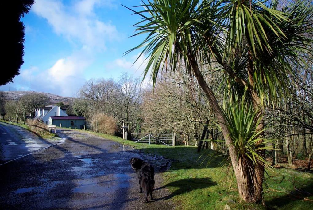 Cargibbitt Annexe Villa Liskeard Exterior foto